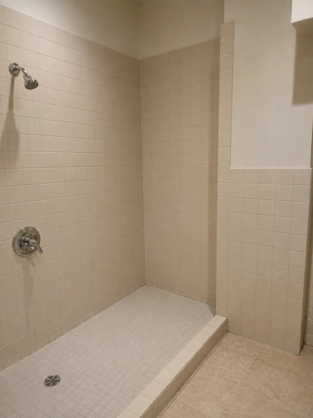 Before — Walk-In Shower in Orléans